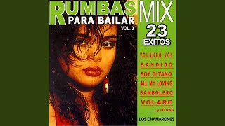 Rumbas Para Bailar Vol2 Mix [upl. by Bride]