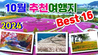 2024년 10월에 가면 좋은 국내 여행지 추천 Best 16 황매산 억새축제 합천 핑크뮬리 간월재억새 순창 강천산 진주남강축제 감악산 아스타국화 민둥산 억새축제 [upl. by Nathanson]