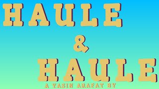 HAULE HAULE SONG A K STUDIO TYPE [upl. by Ariaj]