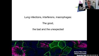 quotLung infections interferons macrophages The good the bad and the unexpectedquot by Dr Andreas Wack [upl. by Bevus]