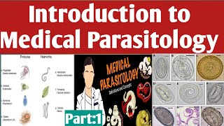 Introduction to Medical Parasitology Amharic Tutorial Part one [upl. by Enohpesrep]