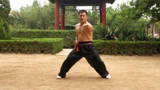 An Wushu  Some Baji Basics and Fight Applications [upl. by Joab]