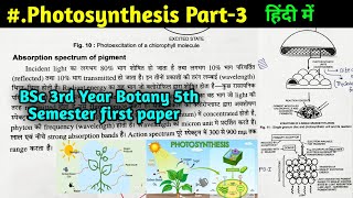 Photosynthesis Part3  Energy Transfer  BSc 3rd year Botany 5th Semester first paper [upl. by Ynoep]