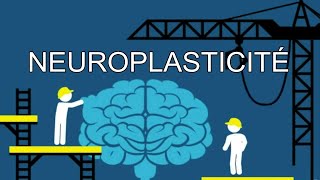 La plasticité cérébrale ou comment le cerveau sadapte [upl. by Oswell176]