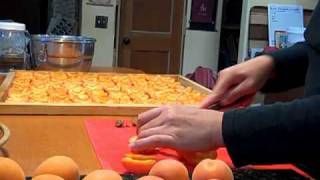 How To Dry Apricots [upl. by Anma]