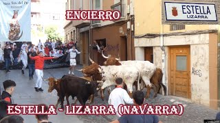 Encierro EstellaLizarra Navarra Mayo 2024 [upl. by Blau741]