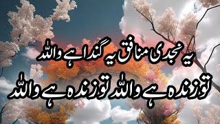 yeh najdi munafiq yeh ganda hai wallah new naat by new naat Khan talha Riaz [upl. by Htebaras972]