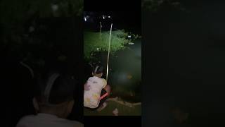 FISHING CATFISH AND TILAPIA AT NIGHT 새우 알래스카게 강게 [upl. by Traweek]