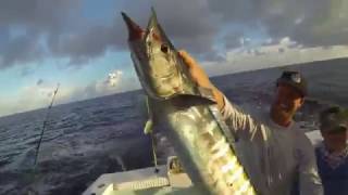 Costa Morada Fishing Charters  Islamorada Florida  Wahoo  Mahi  Grouper [upl. by Carolynn]