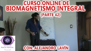 Biomagnetismo Integral Módulo Curso completo Parte 42  Alejandro Lavín [upl. by Ayhdiv]