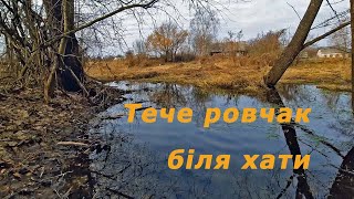 Тече ровчак через ліс Rovchak flows through the forest [upl. by Gayleen]