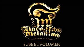 Flaco Flow y Melanina  Sube el Volumen Audio [upl. by Liagabba867]