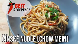 NEJLEPŠÍ SMAŽENÉ ČÍNSKÉ NUDLE🌶CHOW MEIN RECEPT❤️NUDLE S KUŘECÍM MASEM👌 [upl. by Attiuqram332]