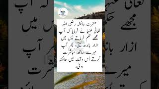 sahih Bukhari hadees 300 islamic ytshorts love during periods mubashrat haiz mien [upl. by Ellesig343]