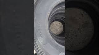 45010 Three wheeler tyre ape Tyre viralvideo shortsvideo apollotyres tyre [upl. by Katrina627]