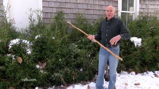 In the Garden  Protecting Boxwoods in Winter [upl. by Maltz]