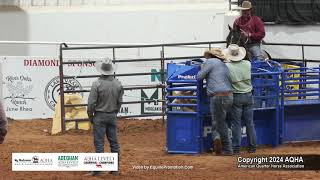 Senior TieDown Roping  2024 AQHA World Championship Show [upl. by Safier]