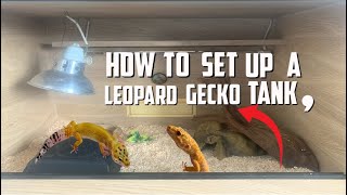 A Beginner’s Guide To Setting Up A Leopard Gecko Tank [upl. by Iznyl90]