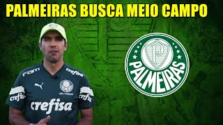 PALMEIRAS BUSCA UM MEIO CAMPO [upl. by Della]