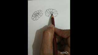 drawing drawingtutorial draw flowerdrawing easydrawing [upl. by Ianahs330]