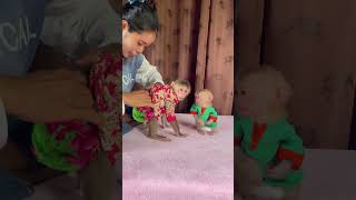 Funny Monkey Videos In Home [upl. by Ydolem]