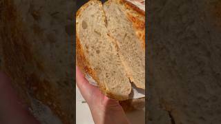 No Knead Italian Bread Recipe nokneadbread breadrecipe [upl. by Honorine347]