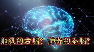 【你是左腦人，還是右腦人？】右腦人是創意天才嗎？右腦圖像學習神奇快？右腦開發有神奇的威力嗎？左撇子是右腦人嗎？ [upl. by Lativa]