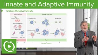 Innate and Adaptive Immunity  Cellular Pathology [upl. by Pantia]