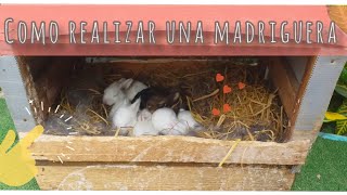 COMO HACER UNA MADRIGUERA PARA CONEJOS  BURROW RABBITS 🐇 CON RECICLAJE  📦♻️ [upl. by Brinna402]