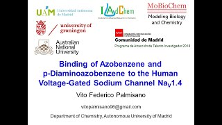 Binding of Azobenzene and pDiaminoazobenzene to the Human VoltageGated Sodium Channel Nav14 [upl. by Timoteo118]