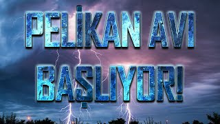 quotYakında Pelikan Avı Başlayacakquot  Kaan Sarıaydın [upl. by Airal]