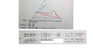 Euklidiese meetkunde Graad 12 Stelling 1 Bewys wiskdou [upl. by Yeslaehc]