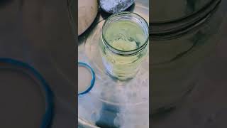 Naphthalene mothballs in petrol asmr mothballs petrol [upl. by Xever]