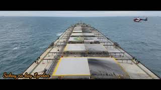 Bulk Carrier Loading to Discharging [upl. by Vig756]