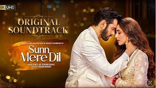 Sun Mera Dil  Full OST  Rahat Fateh Ali Khan  Ft Wahaj AliMaya Ali  MHR LOFI SONG [upl. by Sitruc856]