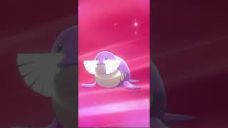 This Shiny Beach Ball Becomes a Tusked Tank Pokémon Sword and Shield Evolution [upl. by Bodkin]