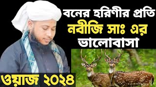 জঙ্গলের হরিণী ও নবীজি সাঃ এর করুন ঘটনা  jungler horinir waz  ইসমাইল উল্লাহ আশেকী [upl. by Lednik674]