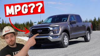 Ford F150 50L Coyote V8  Real World MPG and ACCELERATION Heavy Mechanic Review [upl. by Enait]