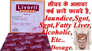 Liveril Forte Tablet BenefitsDosageSide Effects Liver Tonic  Meyer🔥🔥 [upl. by Chandal906]