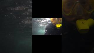 Cave Adventure Snorkel the North Atlantic Ocean wildatlanticway ireland [upl. by Attecnoc]