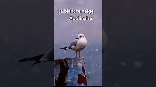 La blanche neige  Guillaume Apollinaire poèmes hiver [upl. by Aneerbas]