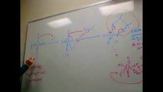 Sharpless Asymmetrical Dihydroxylation [upl. by Everest989]