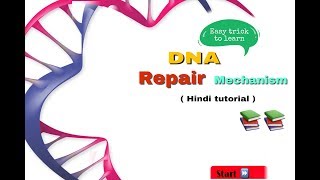 DNA repair in hindi  biology [upl. by Basil]