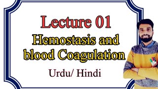 Hemostasis Blood Clotting  Coagulation of blood in Urdu Hindi [upl. by Rempe433]