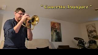 CONCERTO DARANJUEZ Flugelhorn Solo [upl. by Noived548]