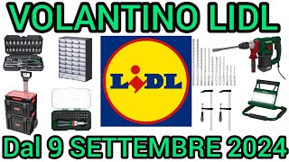 VOLANTINO LIDL PARKSIDE FAI DA TE DAL 9 SETTEMBRE 2024 volantinospesa performancebricolagelidl [upl. by Anastos828]