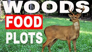 Deer Food Plots The Simple Way  8 Seeding Your Plots [upl. by Nawed942]