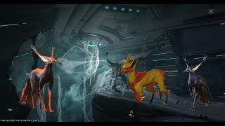 Warframe Kavat Farming Guide 2020 Heart of Deimos [upl. by Aidin]