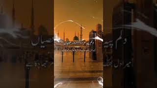 Tanam Farsooda Jan Para  Umer Munir Qadri  Vocal Version [upl. by Kaja]