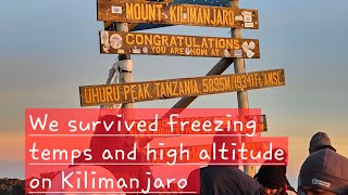 Kilimanjaro trek Alt Lemosho route [upl. by Nodnol]